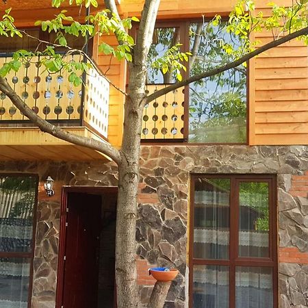 Levani'S Cottage Borjomi Exterior photo