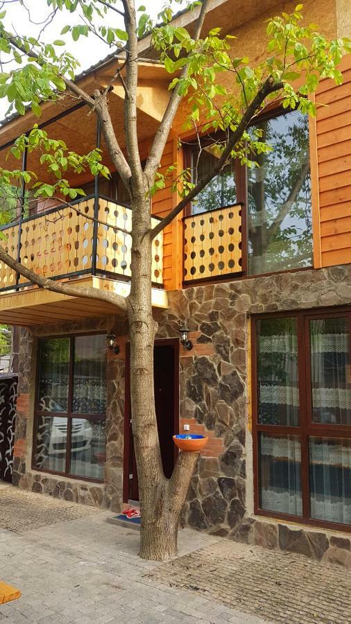 Levani'S Cottage Borjomi Exterior photo