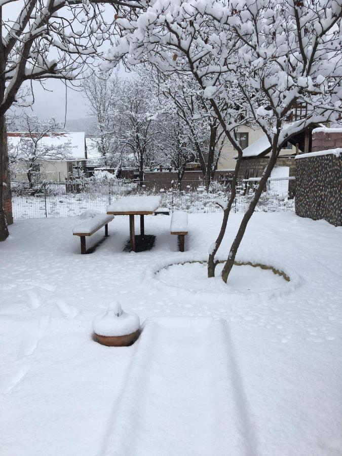 Levani'S Cottage Borjomi Exterior photo